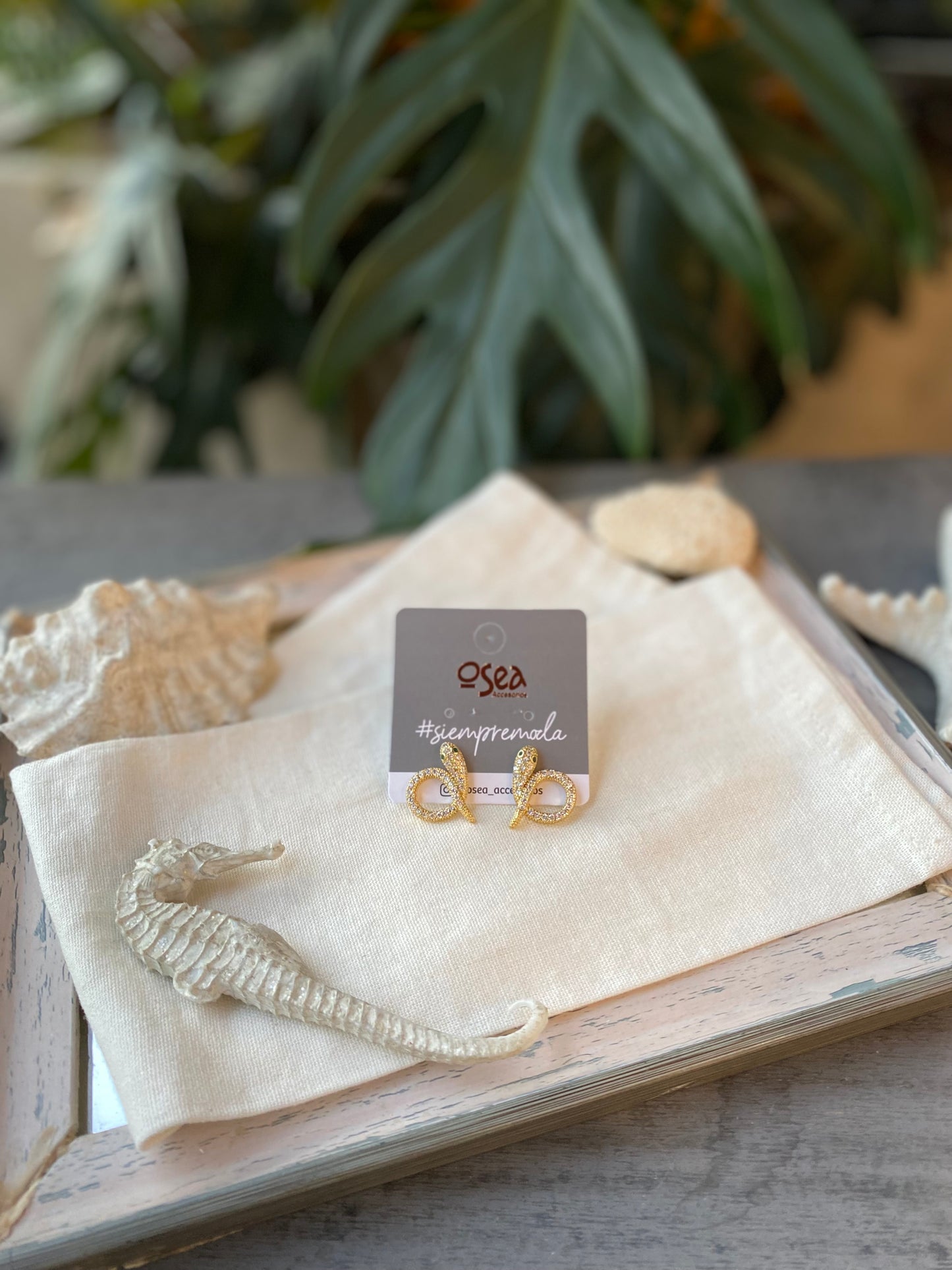 Topos de serpiente rodinados con piedras