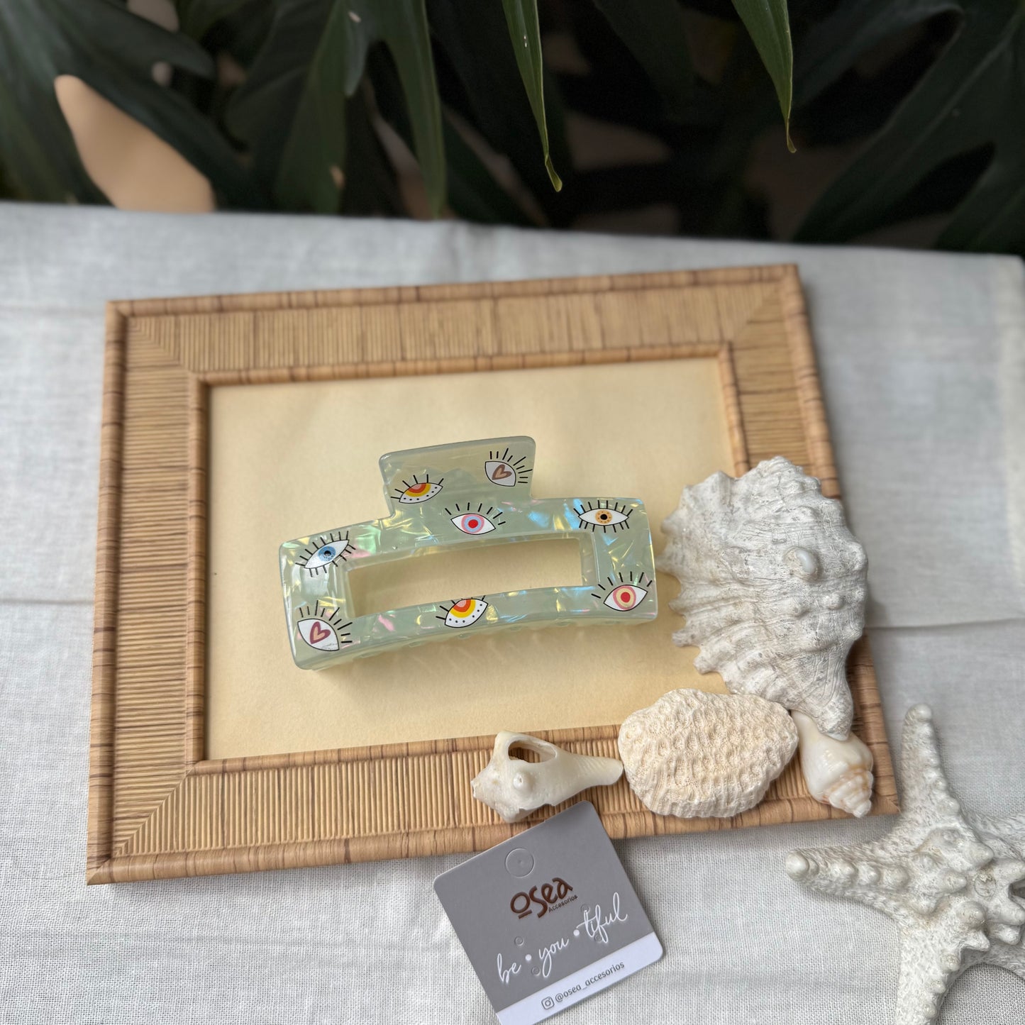 Caimán grande tipo nácar ojos