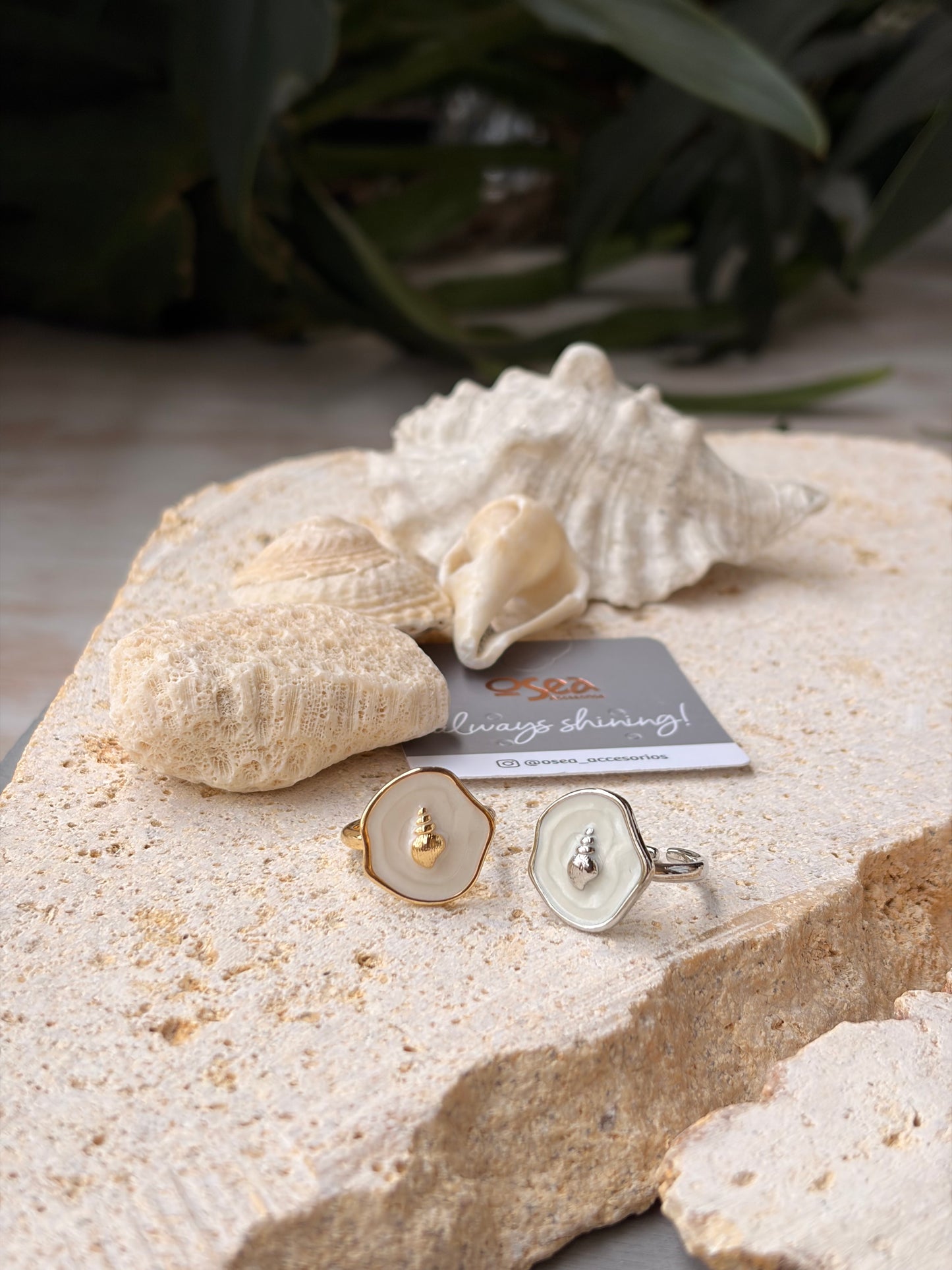 Anillo graduable rodinado concha esmaltada