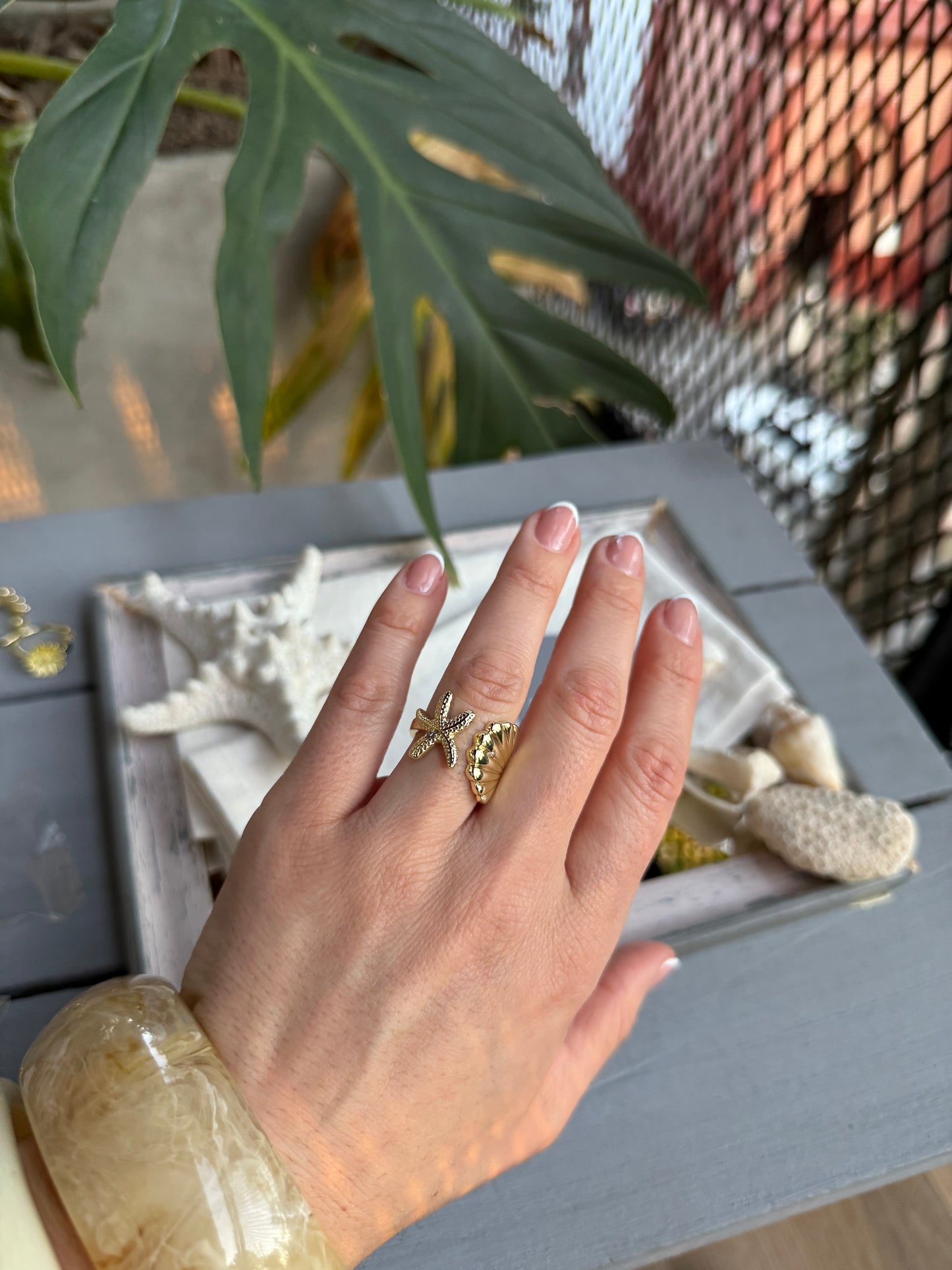 Anillo concha y estrella de mar