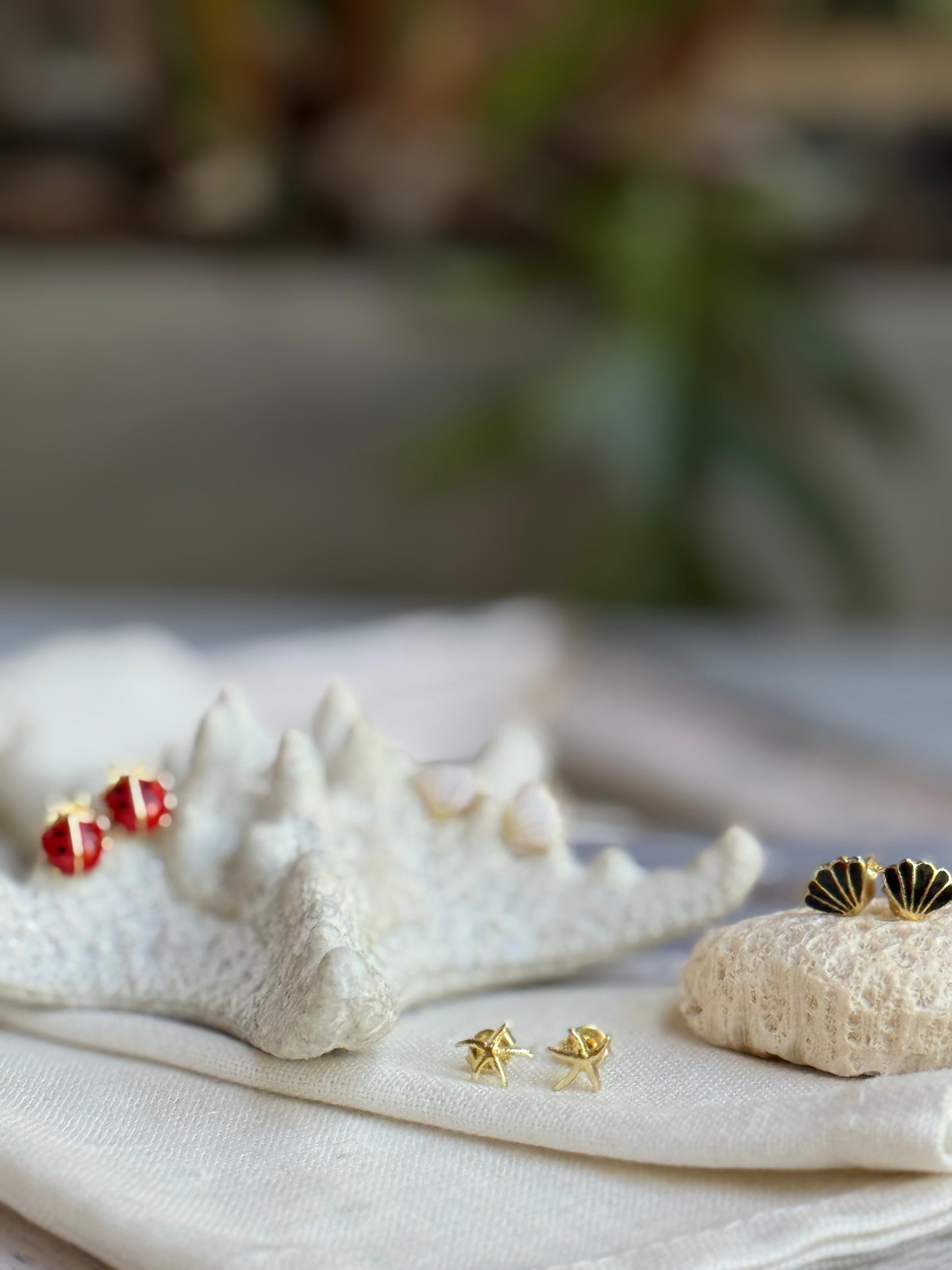 Mini topos de concha, estrella y mariquita