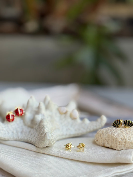 Mini topos de concha, estrella y mariquita