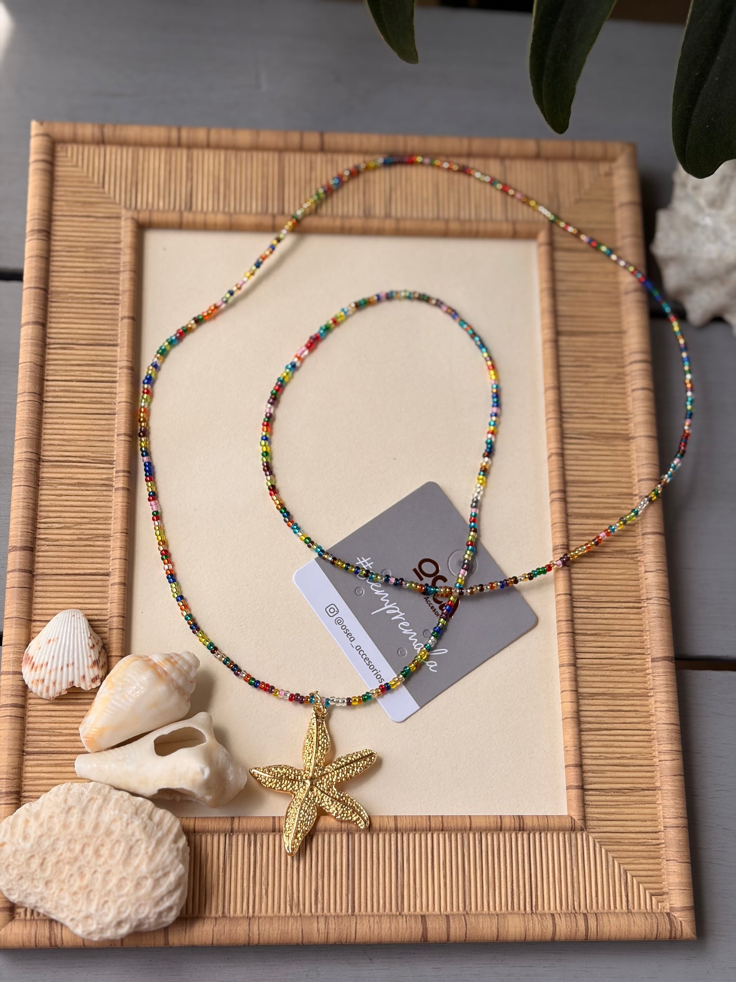 Collar largo mostacilla colores dije estrella