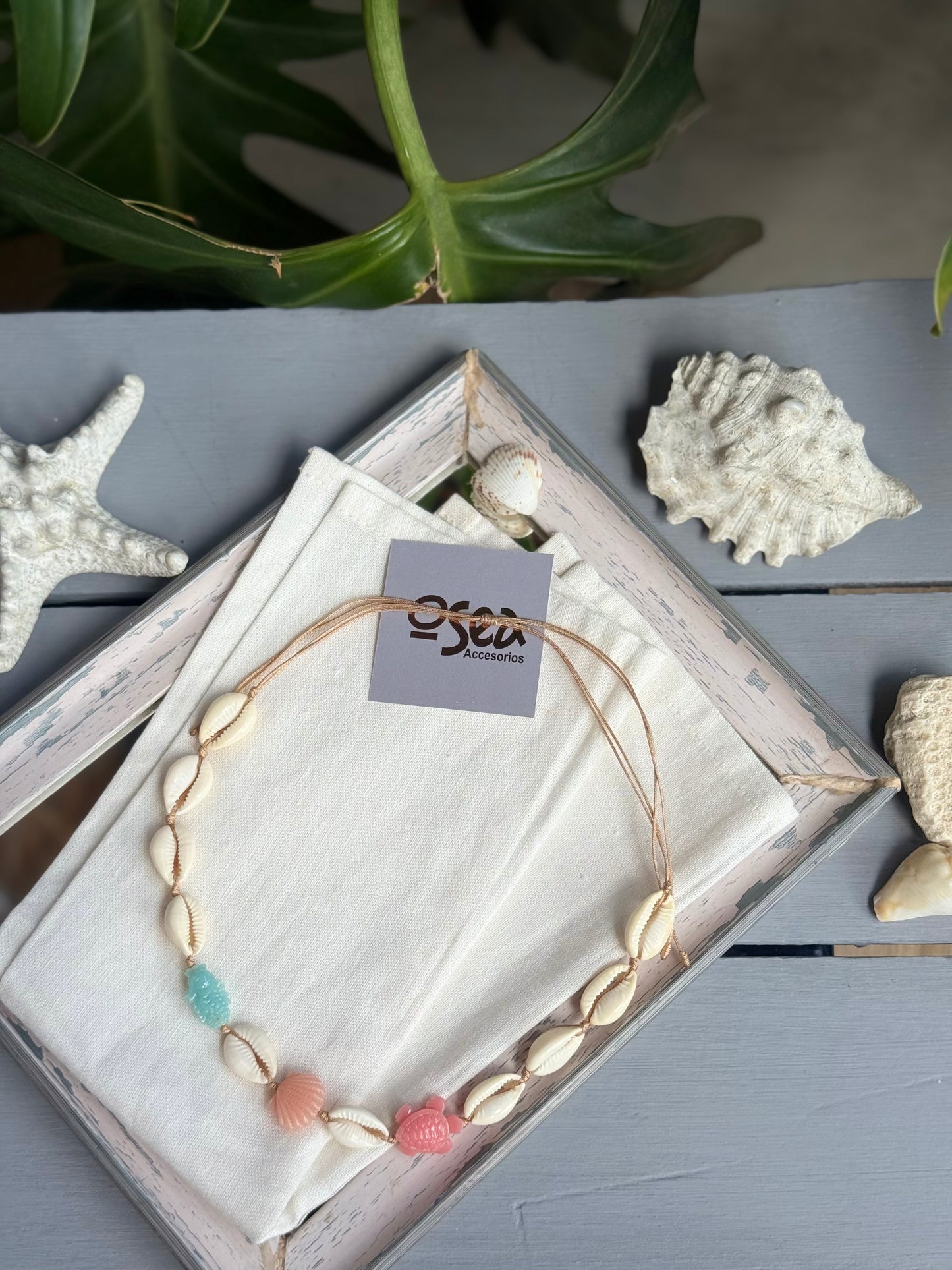 Choker conchas dijes mar en pasta