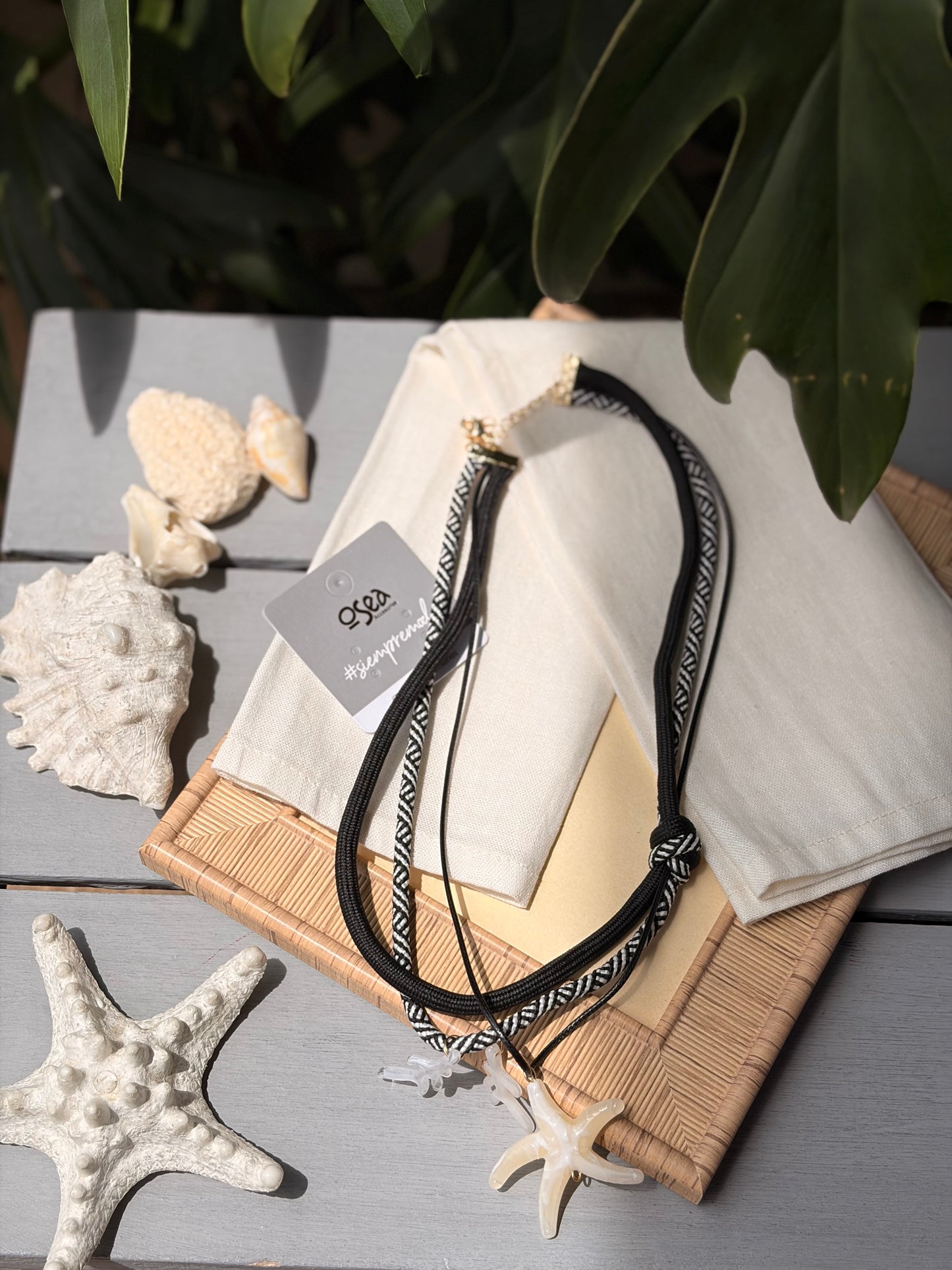 Collar cordón dije estrella de mar