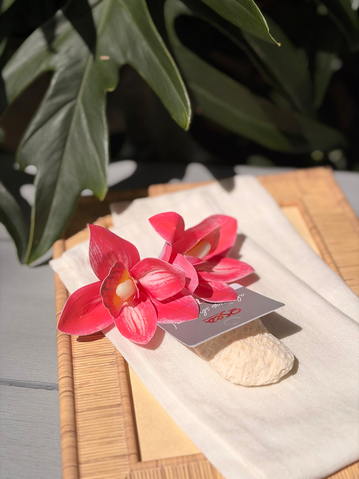 Aretes en topo de orquídea