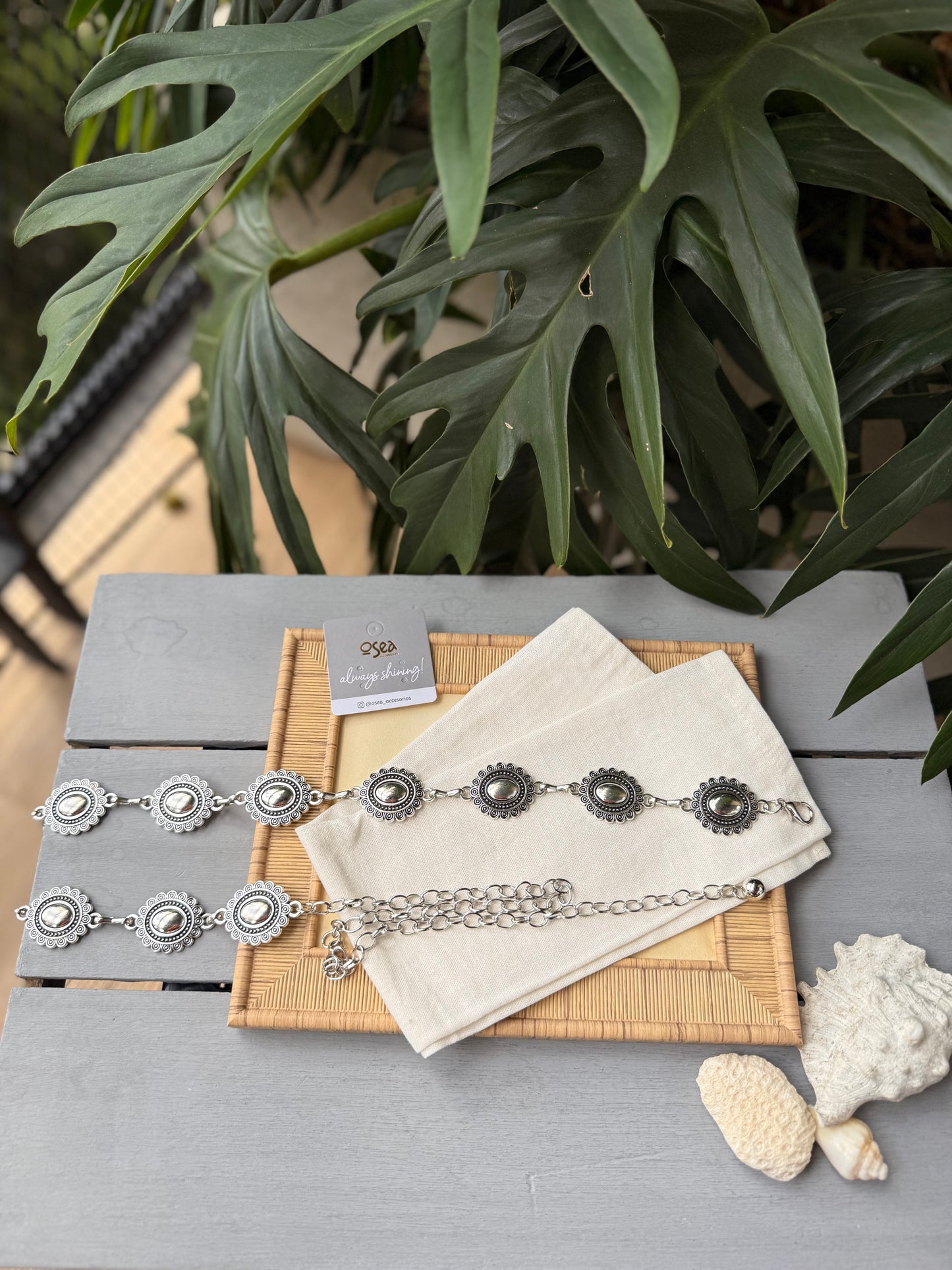 Correa metálica cadena