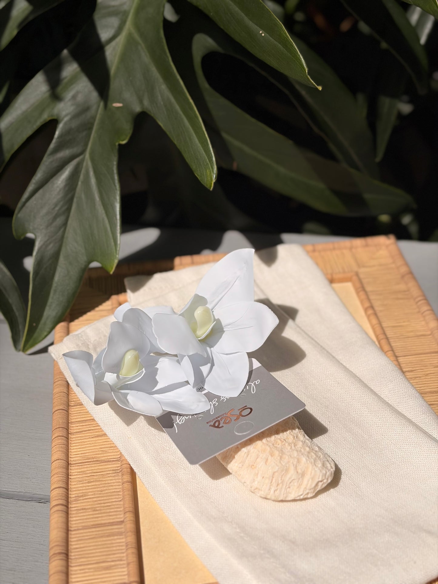 Aretes en topo de orquídea