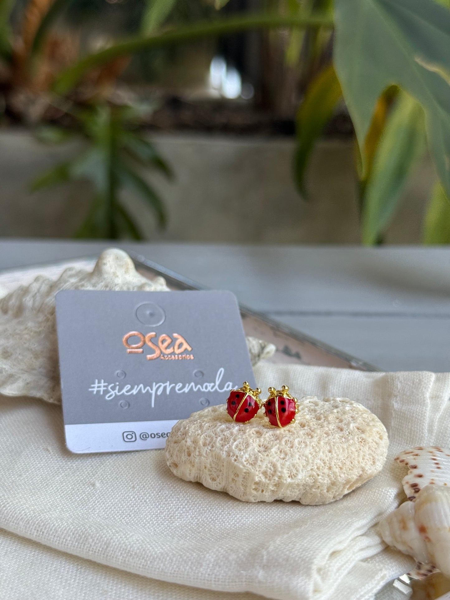 Mini topos de concha, estrella y mariquita