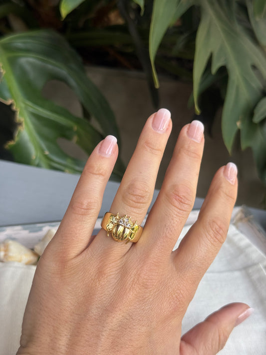 Anillo rodinado cucarrón