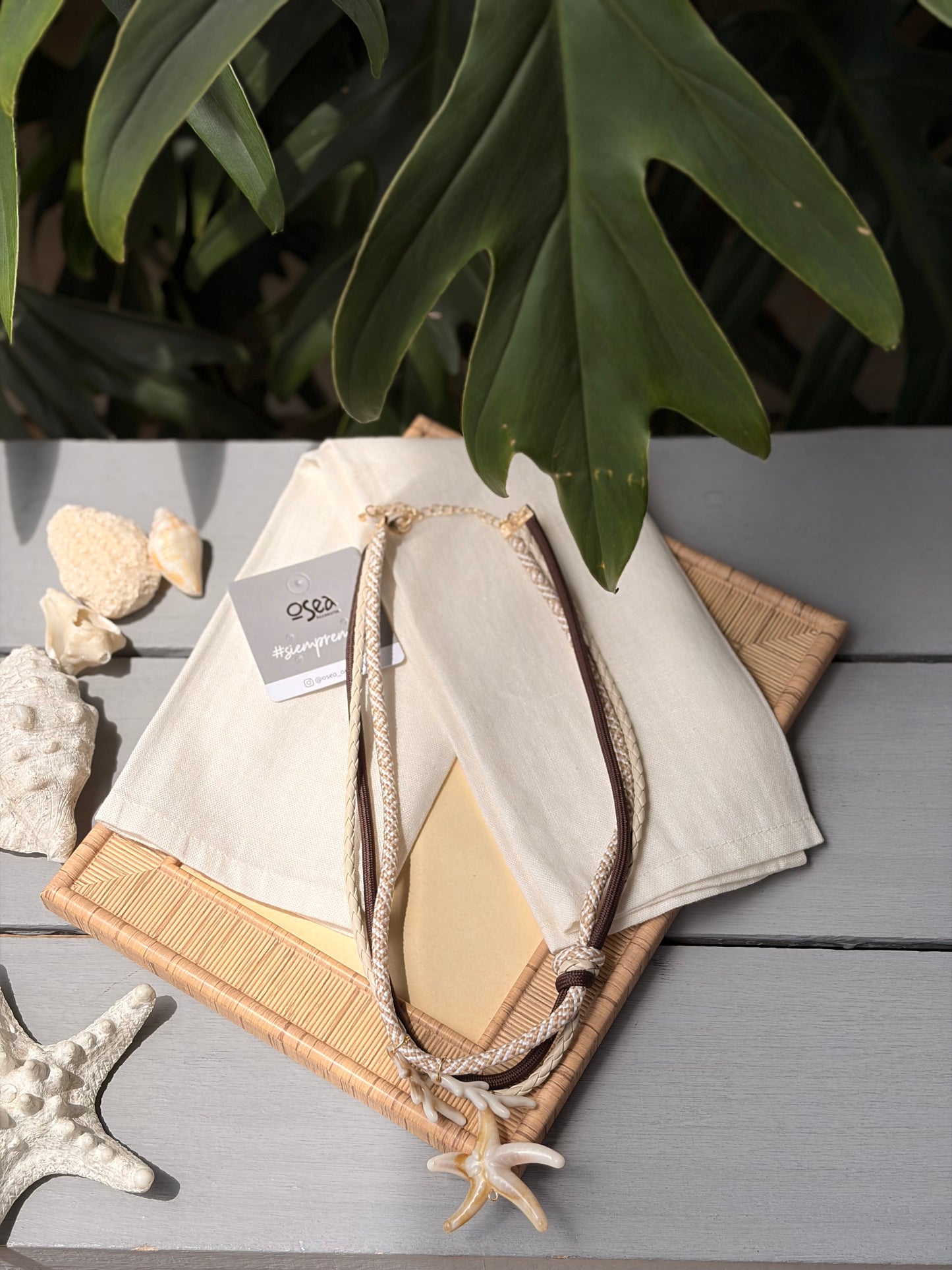 Collar cordón dije estrella de mar