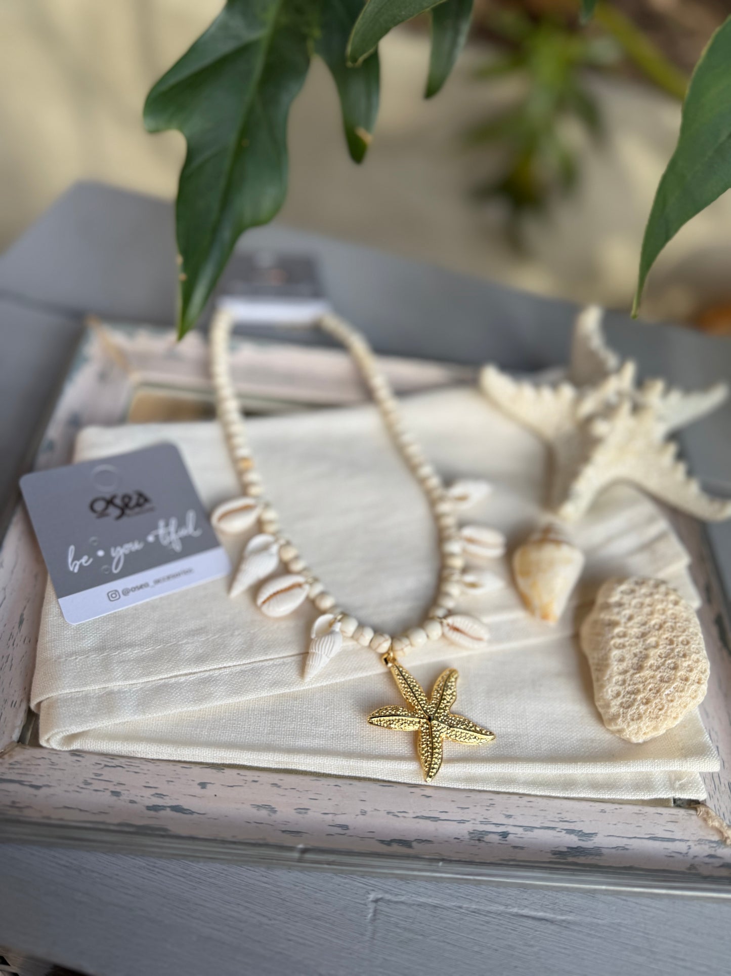 Collar conchas y estrella