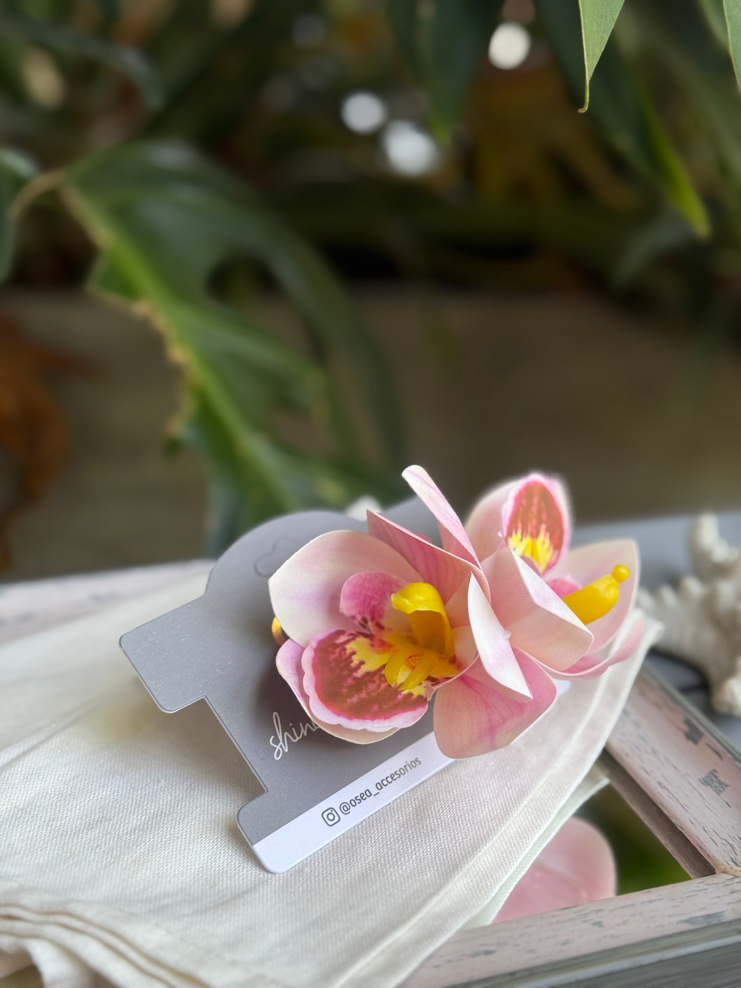 Pinza pico de loro orquídea doble