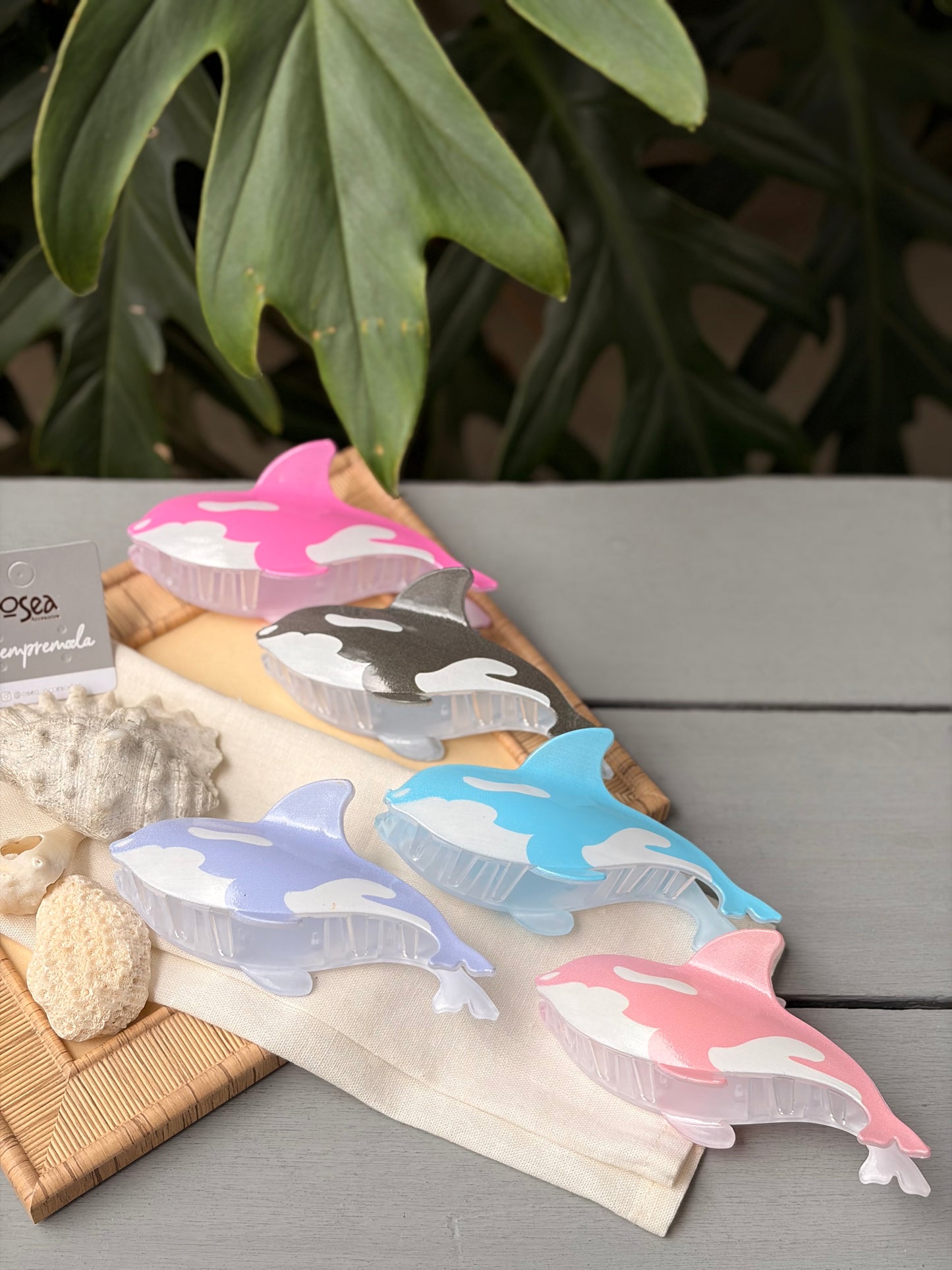 Caimán hair clip ballena en colores