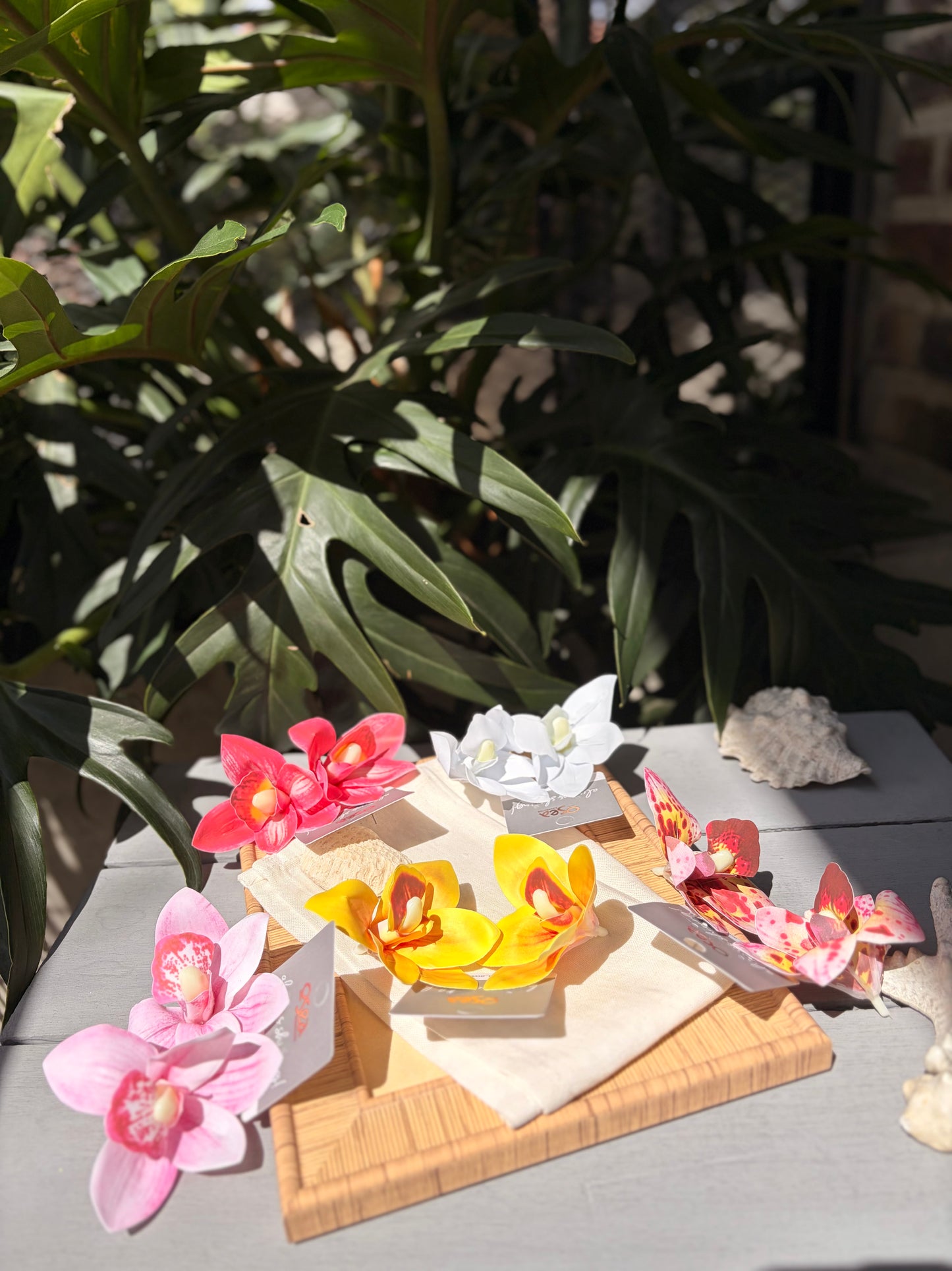 Aretes en topo de orquídea