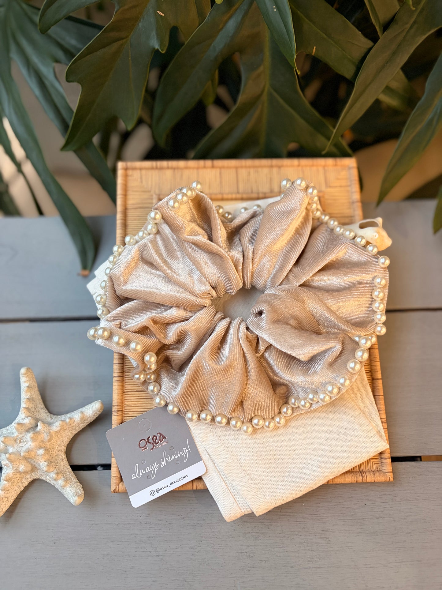 Bamba fina en pana borde perlas