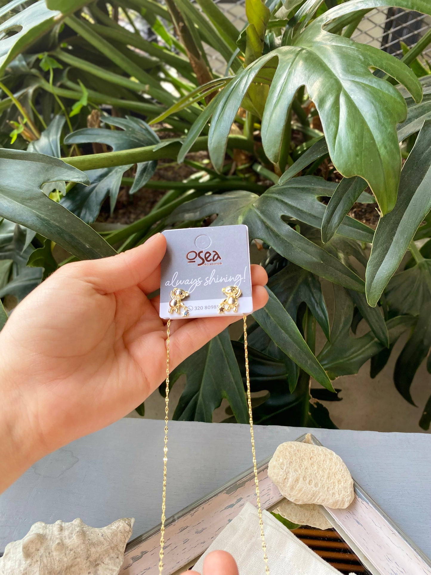 set rodinado cadena y topos oso y piedra
