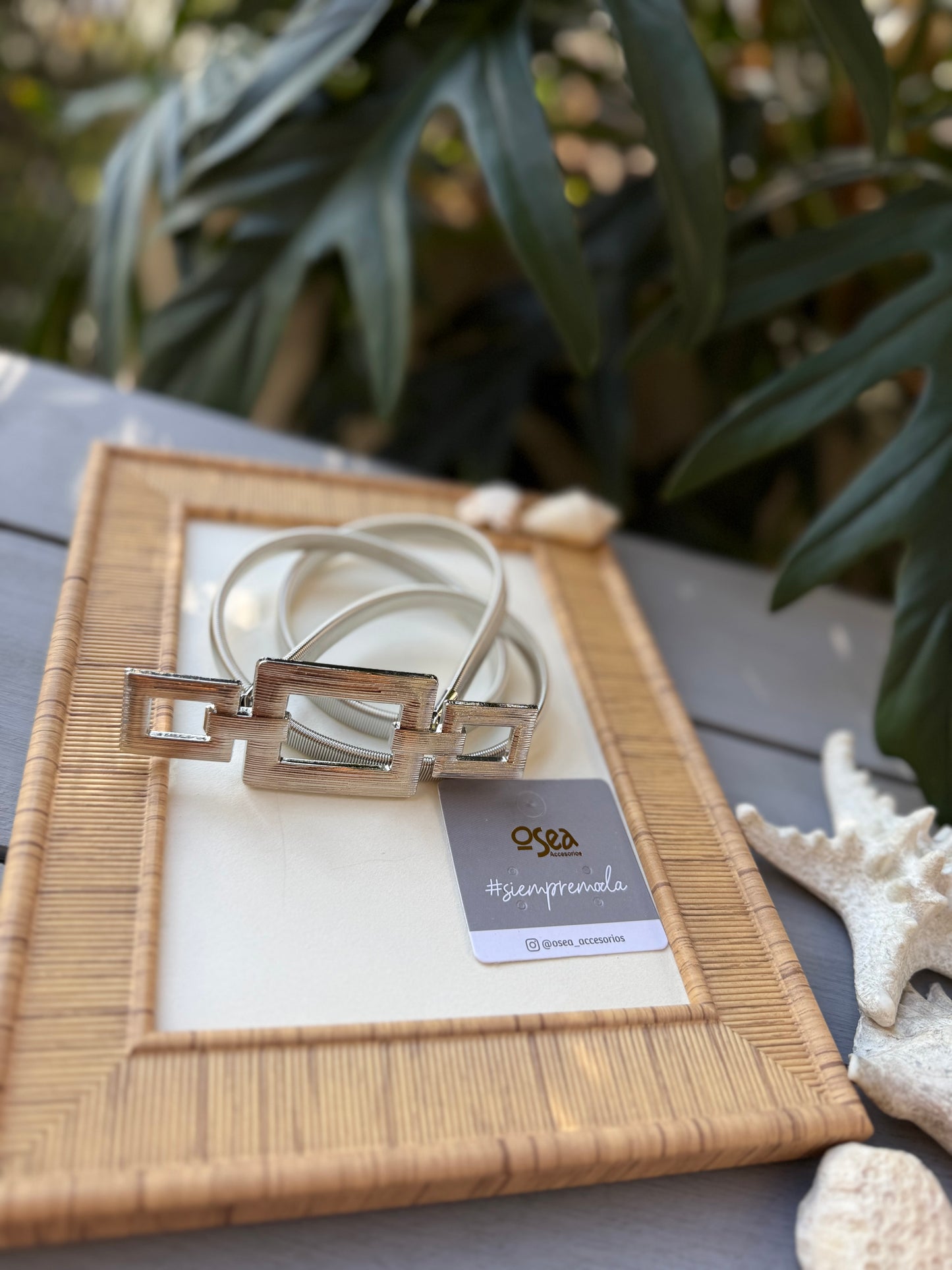 Correa elástica metalica