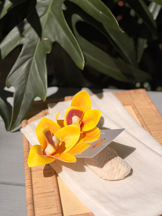 Aretes en topo de orquídea