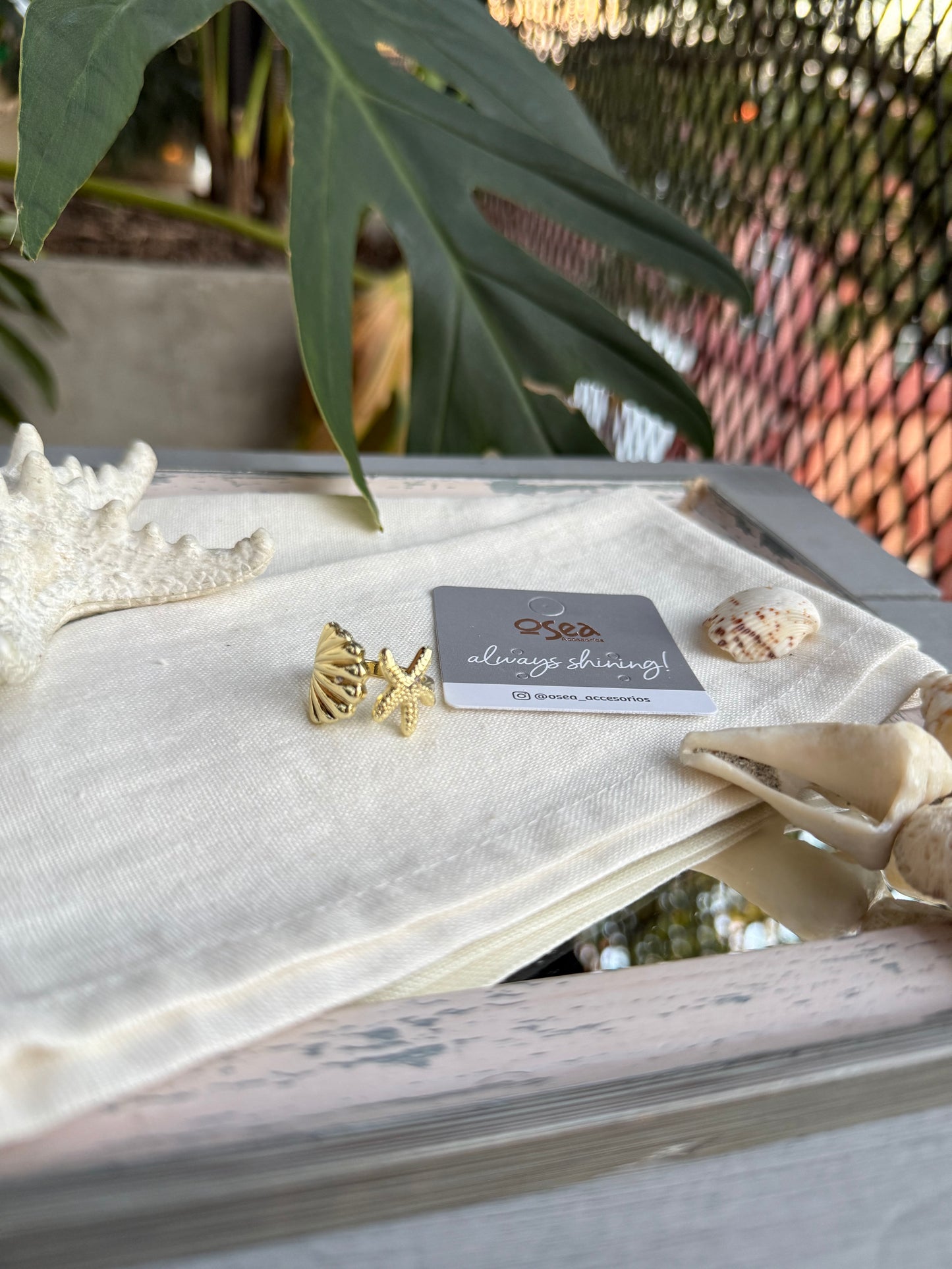 Anillo concha y estrella de mar