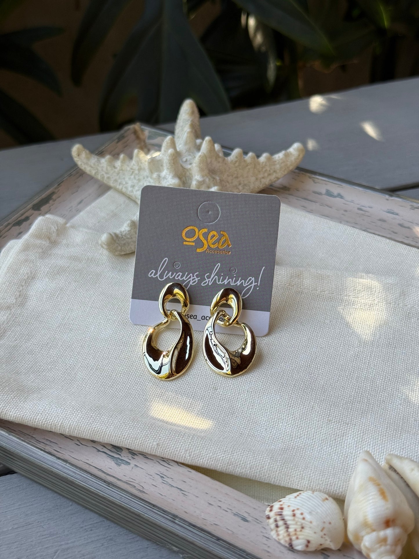 Aretes rodinados doble aro