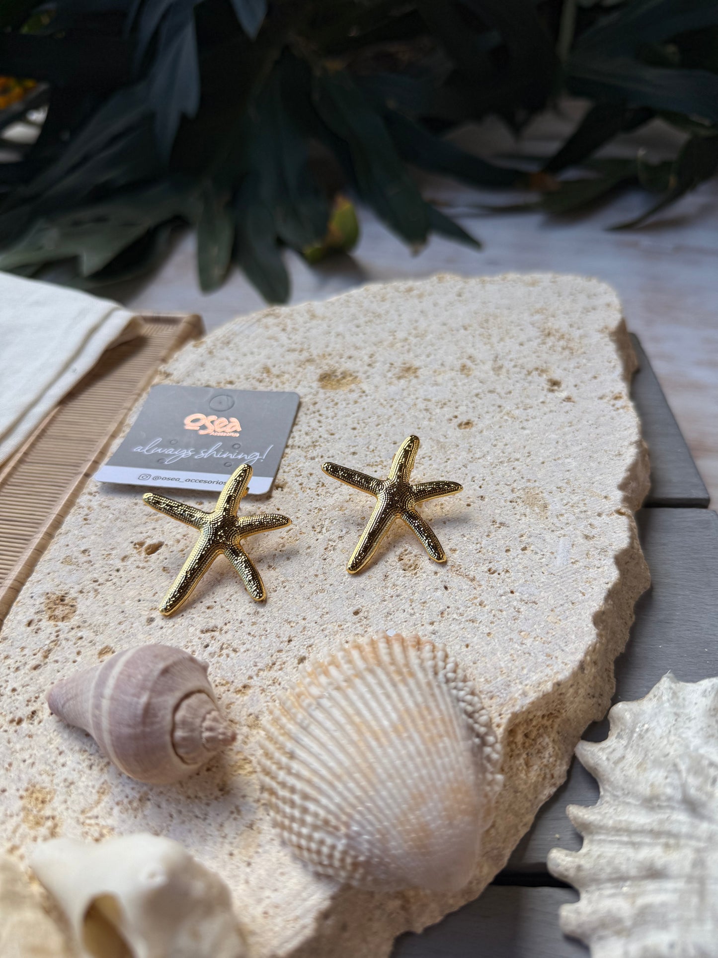 Arete estrella de mar baño de oro