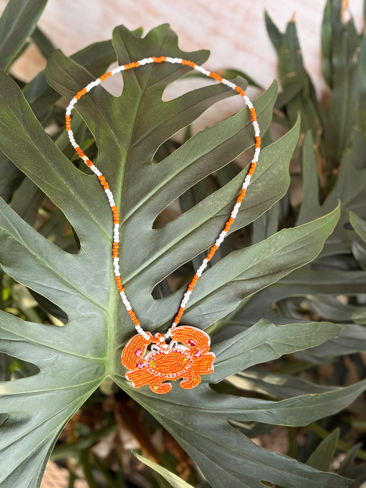 Collar largo mostacillas y cangrejo tejido