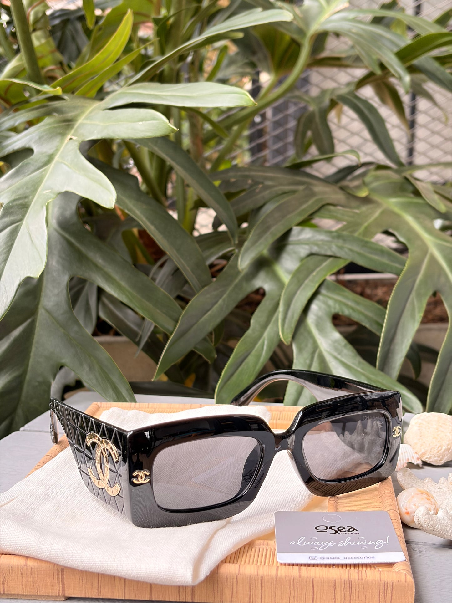 Gafas de sol en pasta aplique dorado