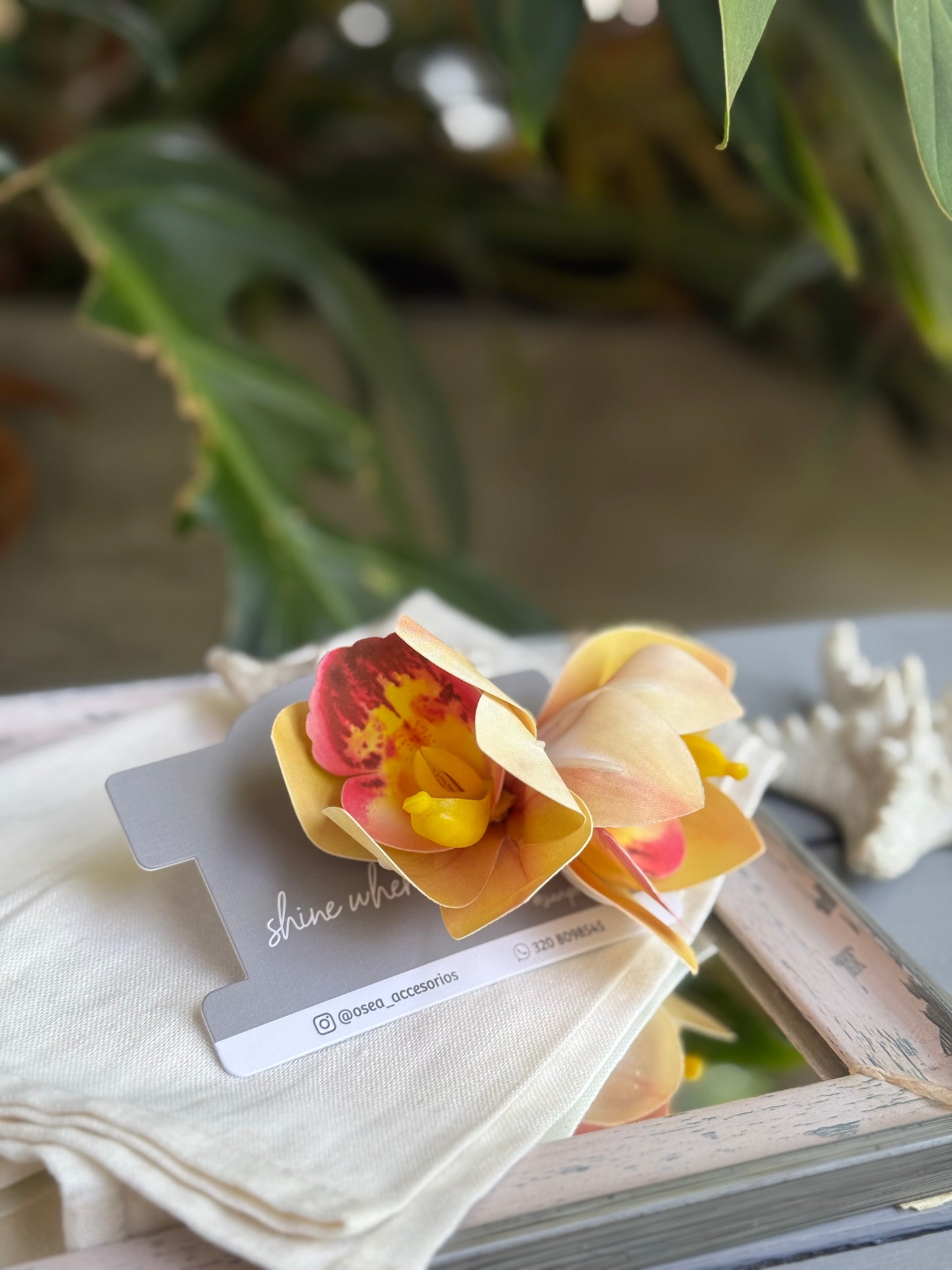 Pinza pico de loro orquídea doble