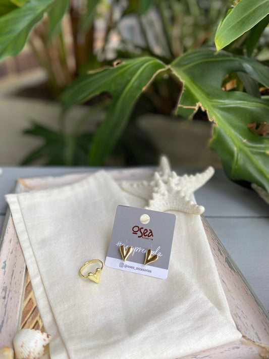 Set rodinado de anillo y topos de corazón