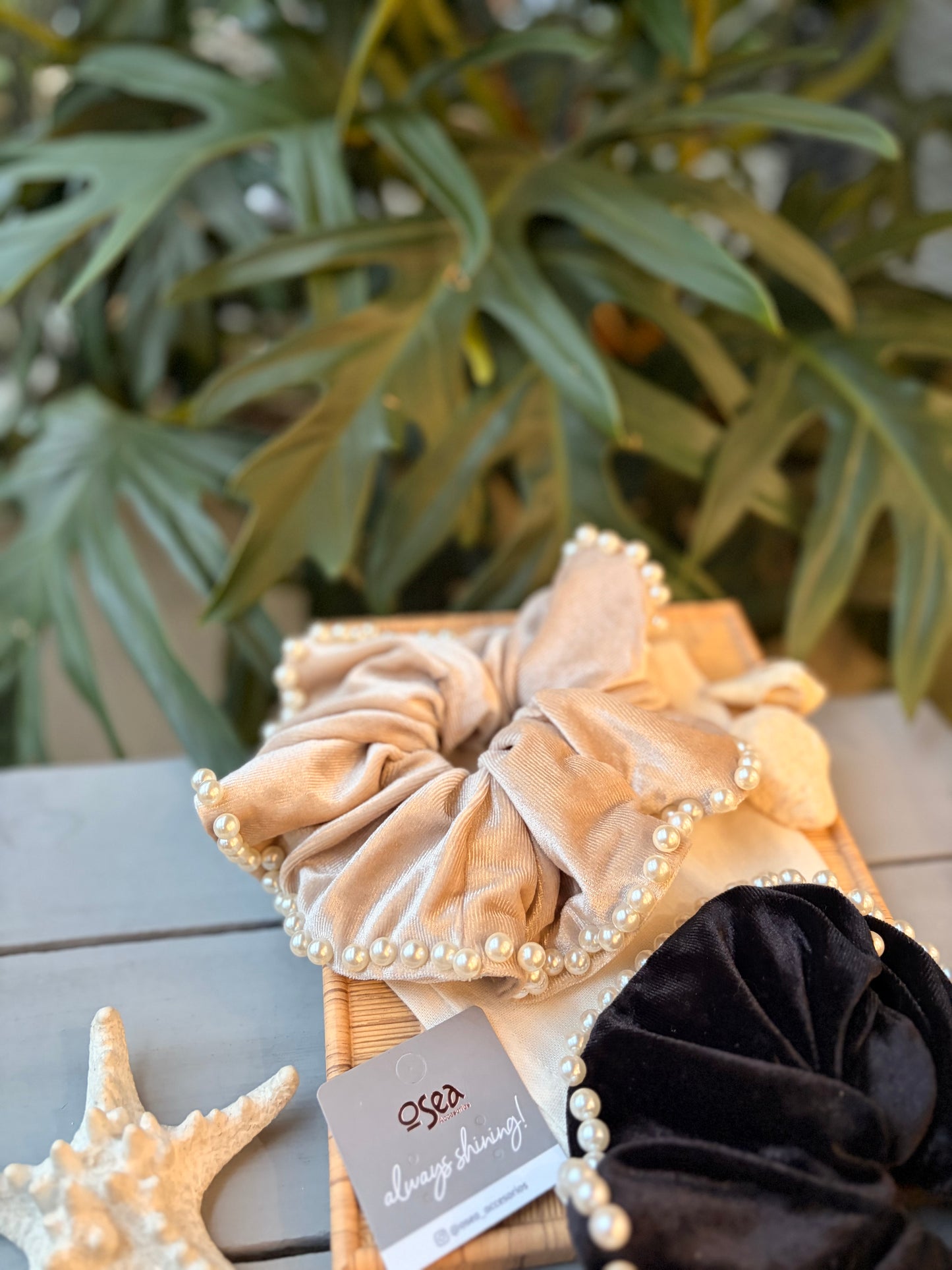 Bamba fina en pana borde perlas