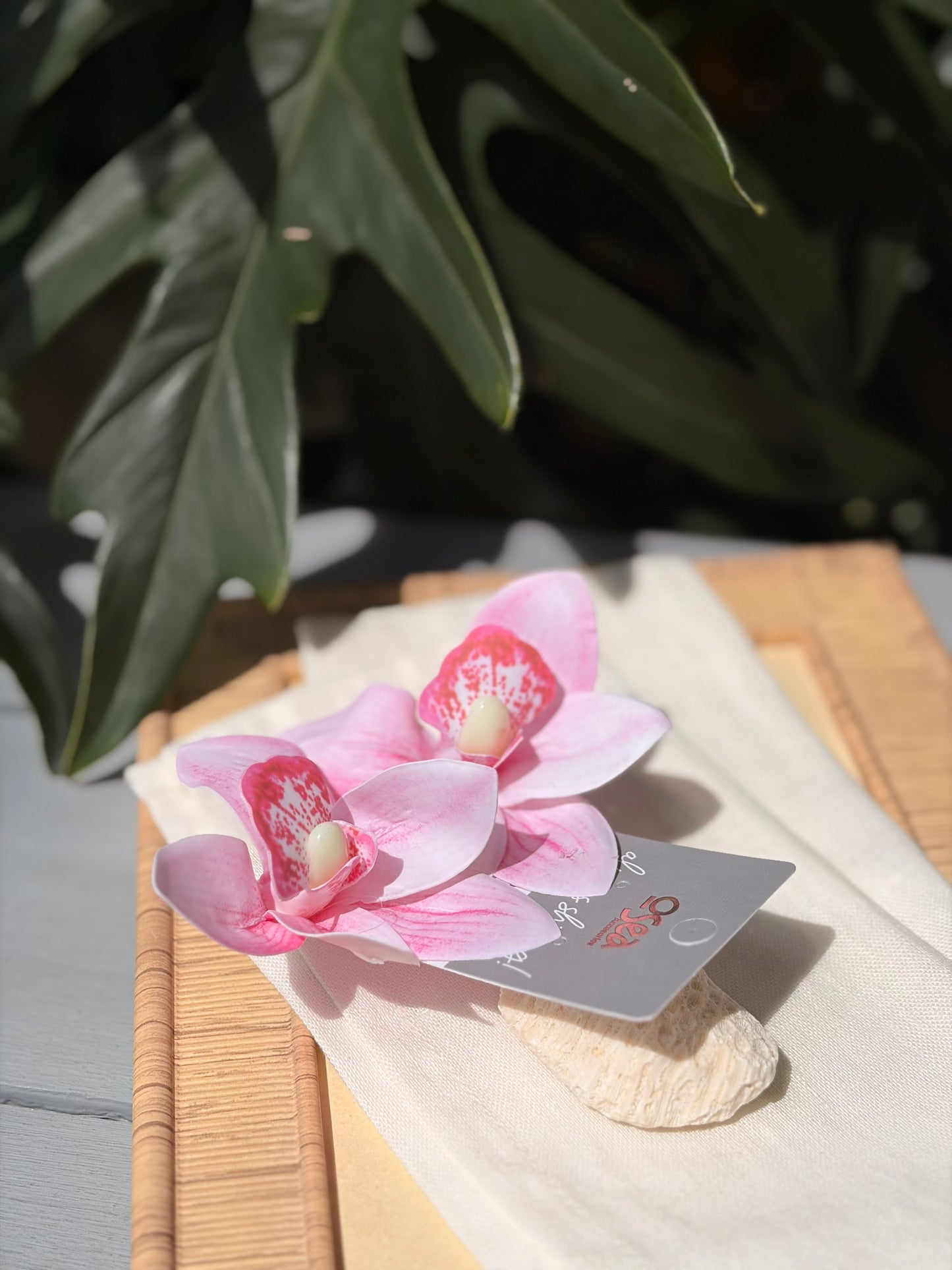 Aretes en topo de orquídea