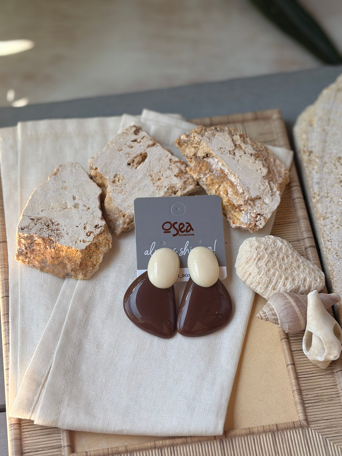 Aretes en topos resina bicolor