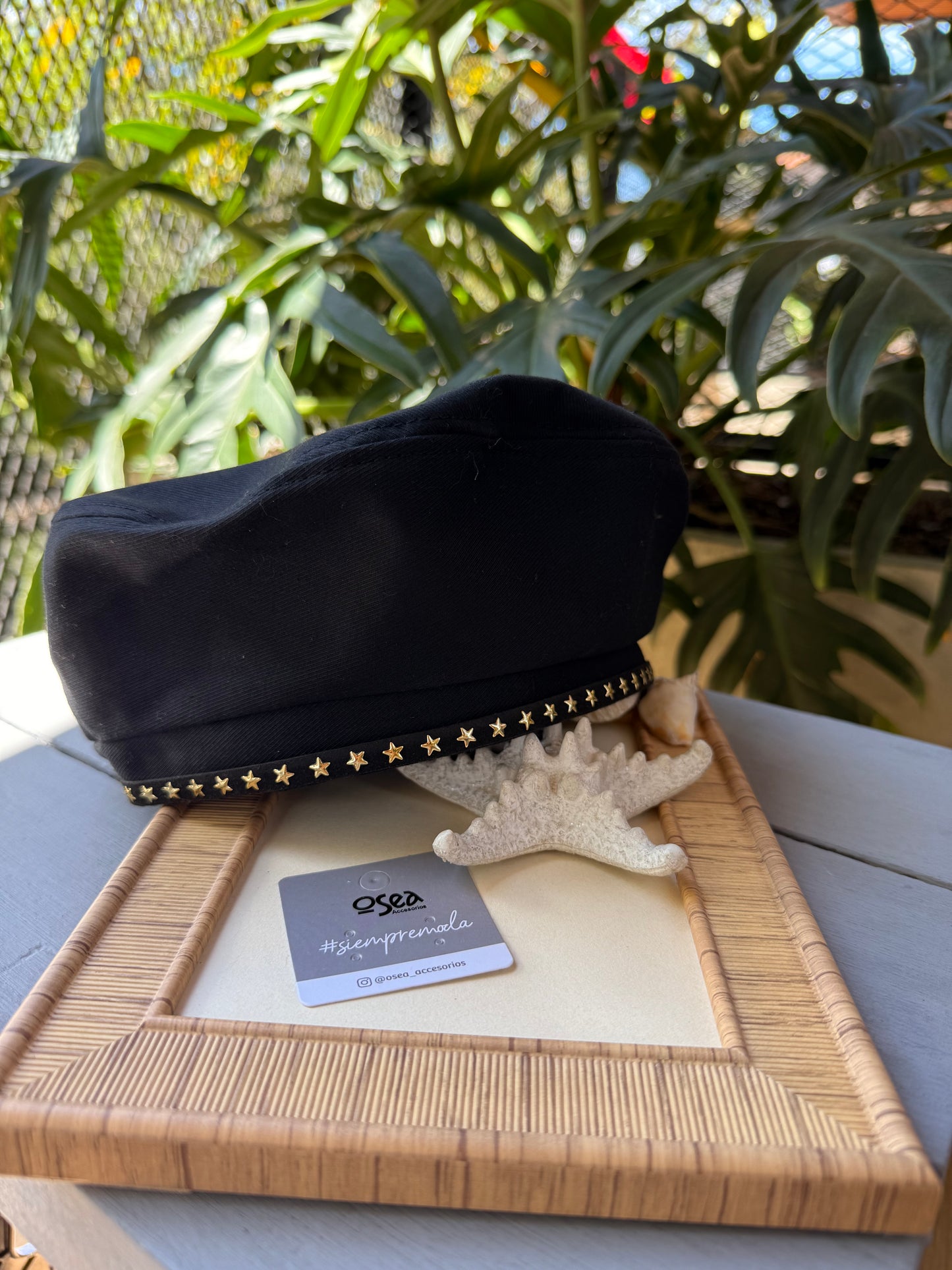 Boina parisina estrellas