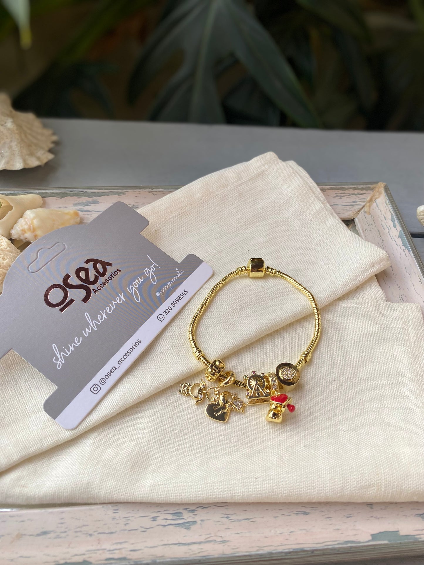 Pulsera rodinada tipo pandora
