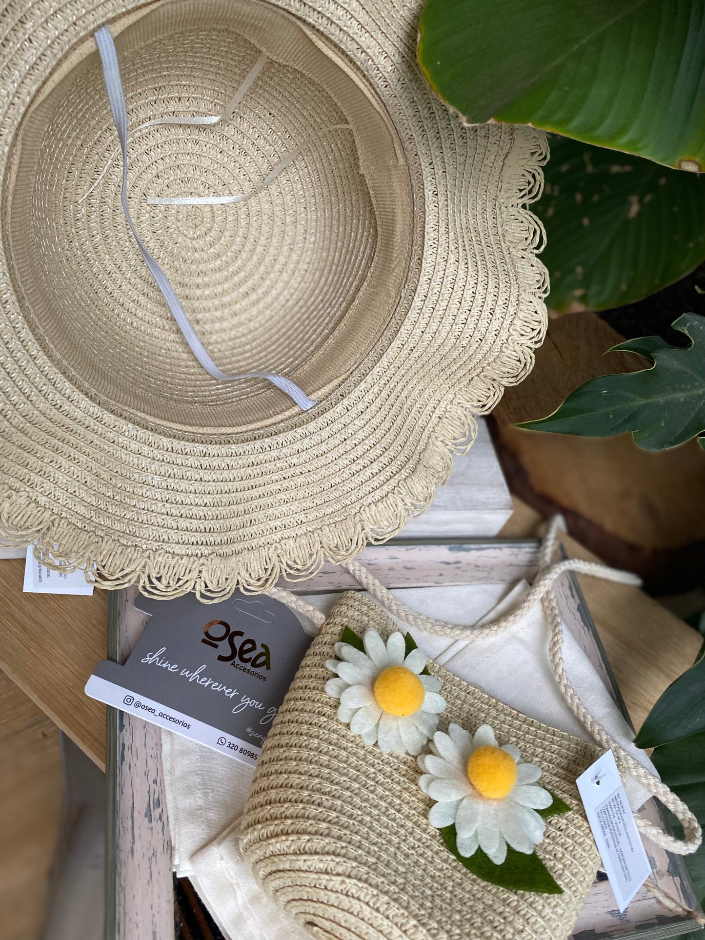 Set de sombrero y bolso para niña