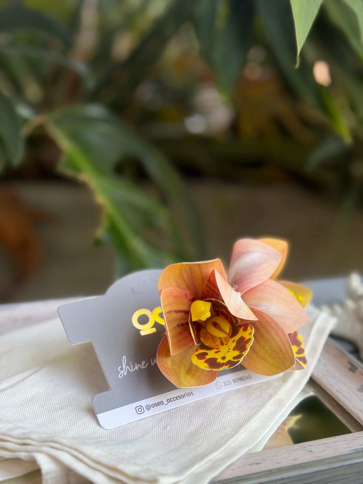 Pinza pico de loro orquídea doble