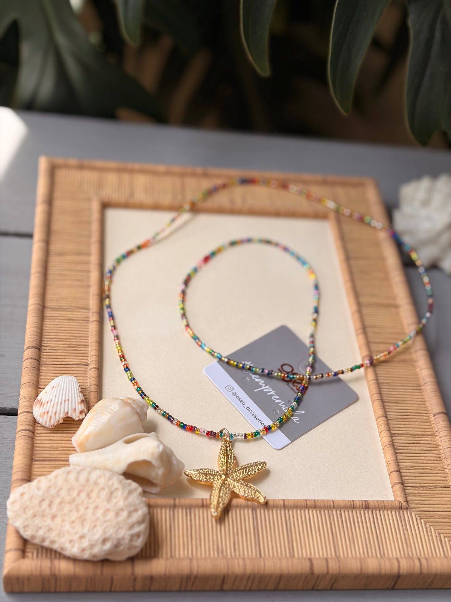 Collar largo mostacilla colores dije estrella