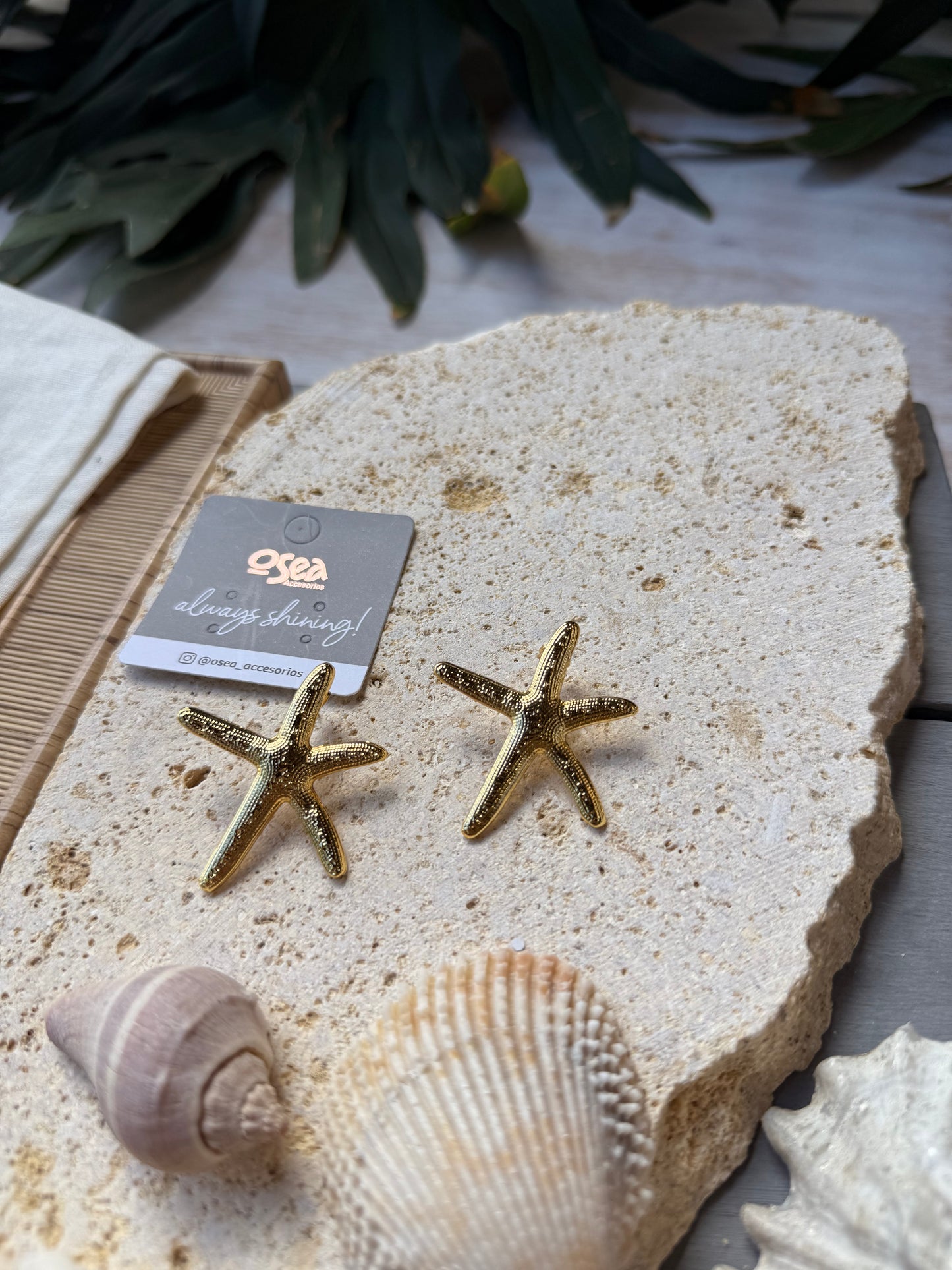 Arete estrella de mar baño de oro