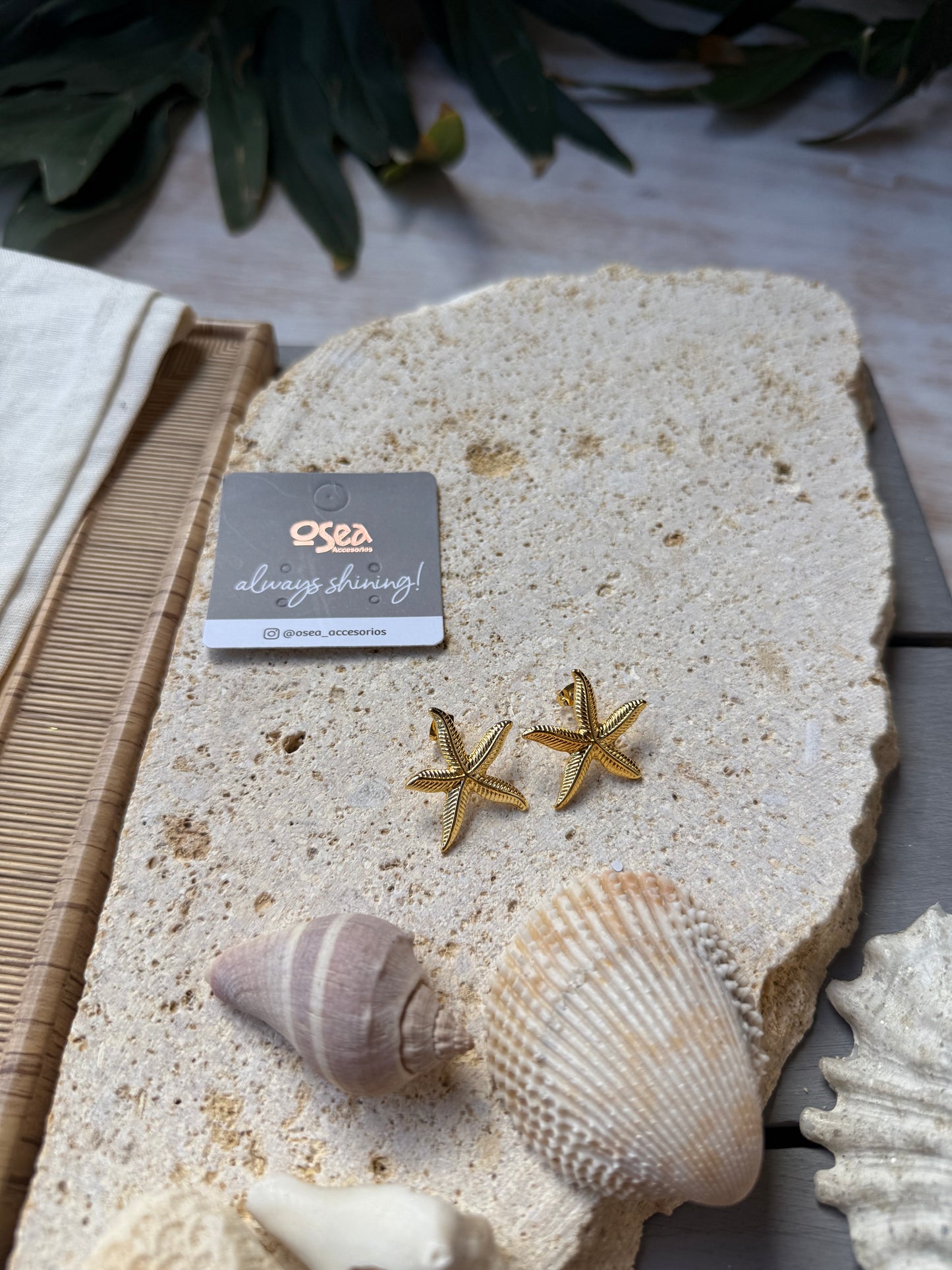 Topo estrella de mar mediano 24k
