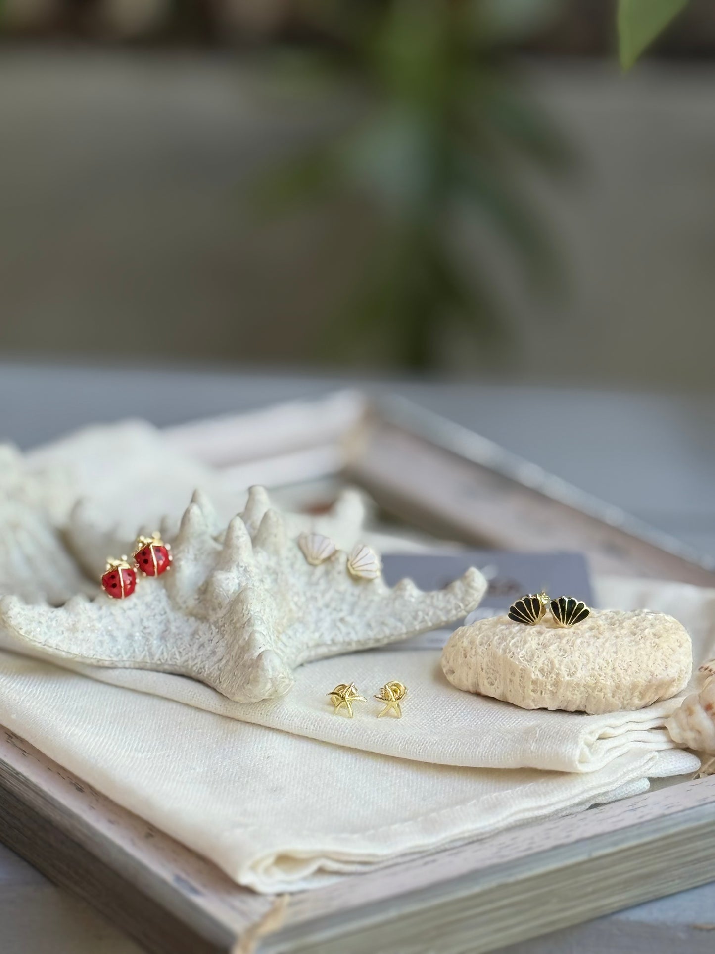 Mini topos de concha, estrella y mariquita