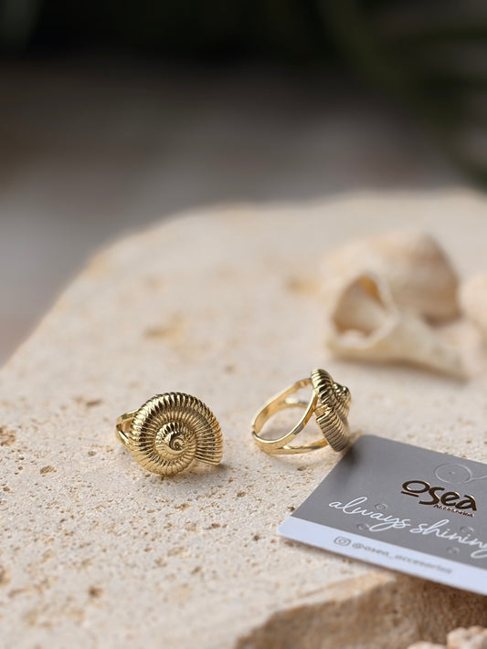Anillo rodinado concha de mar