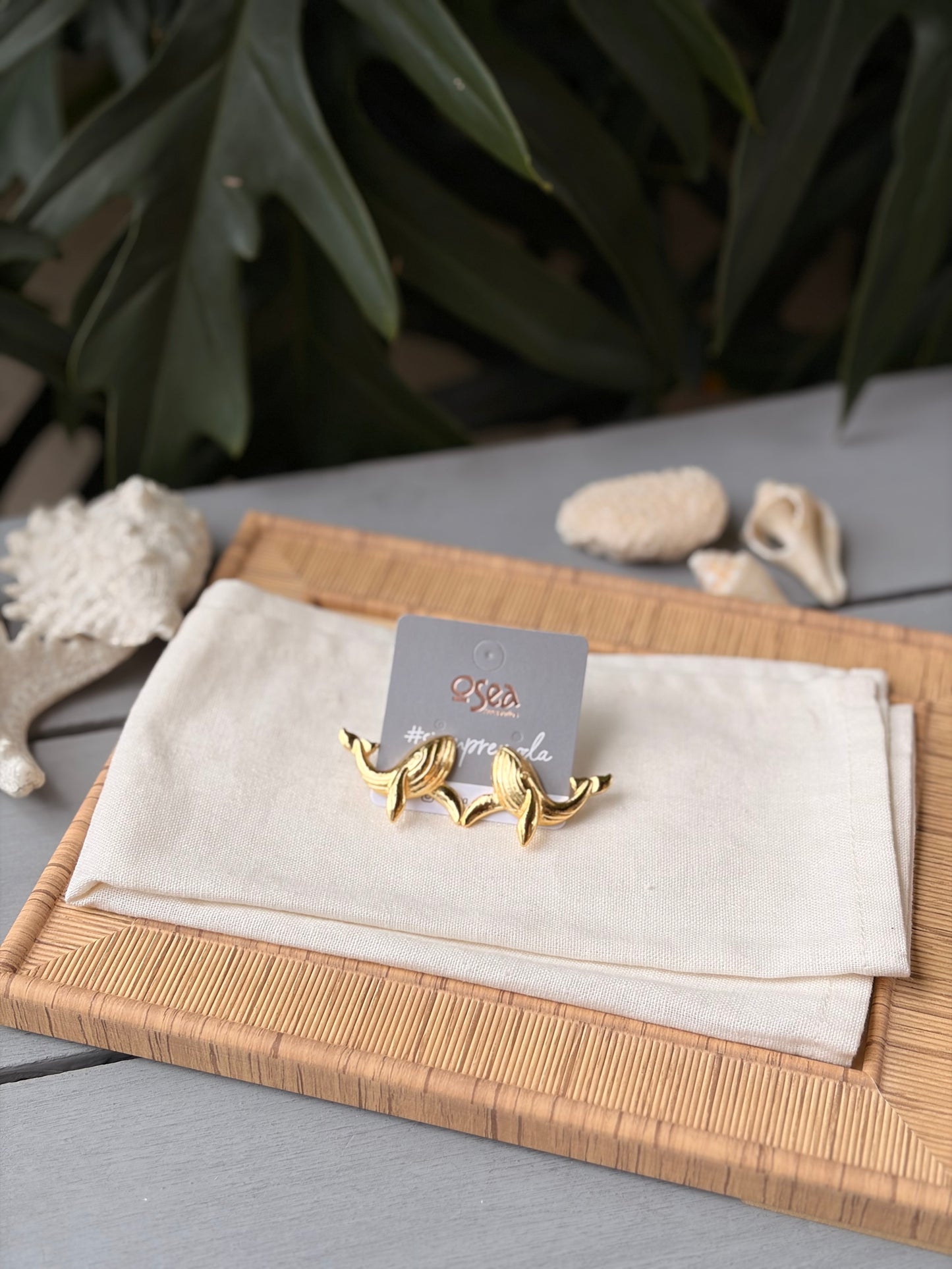 Topos ballena jorobada