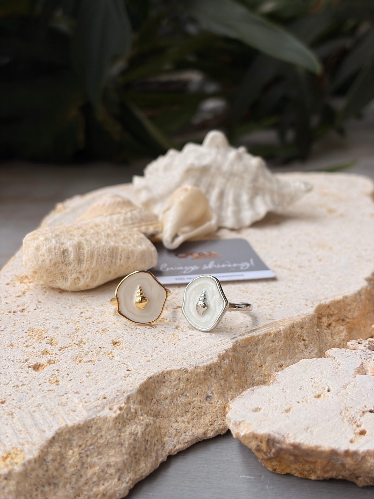 Anillo graduable rodinado concha esmaltada