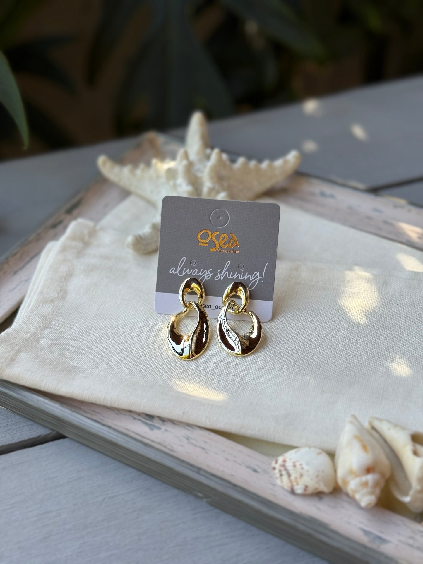 Aretes rodinados doble aro