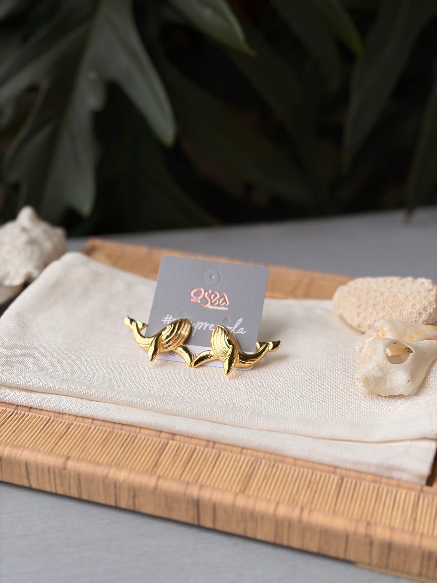 Topos ballena jorobada