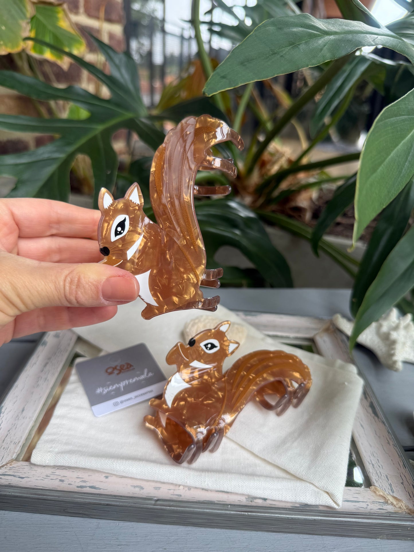 Caimán ardilla 🐿️