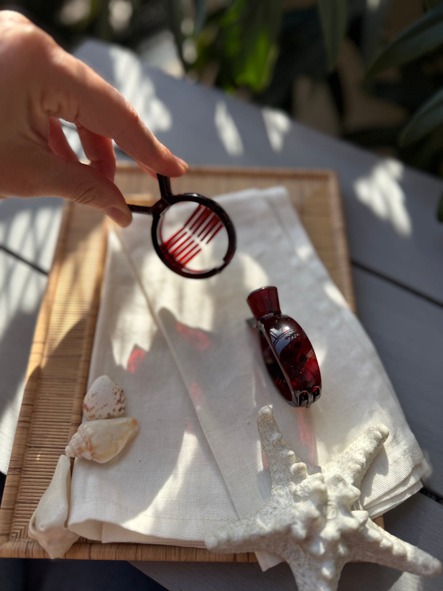 Caimán conga tipo carey