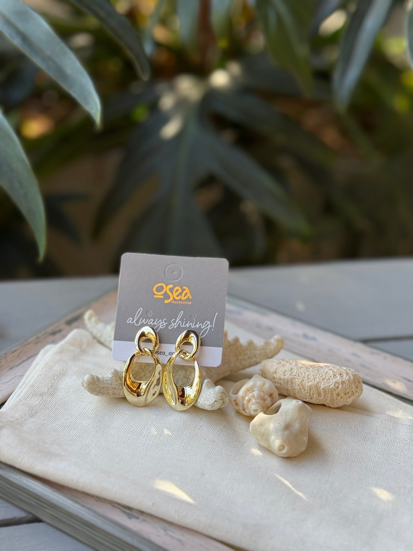 Aretes rodinados doble aro