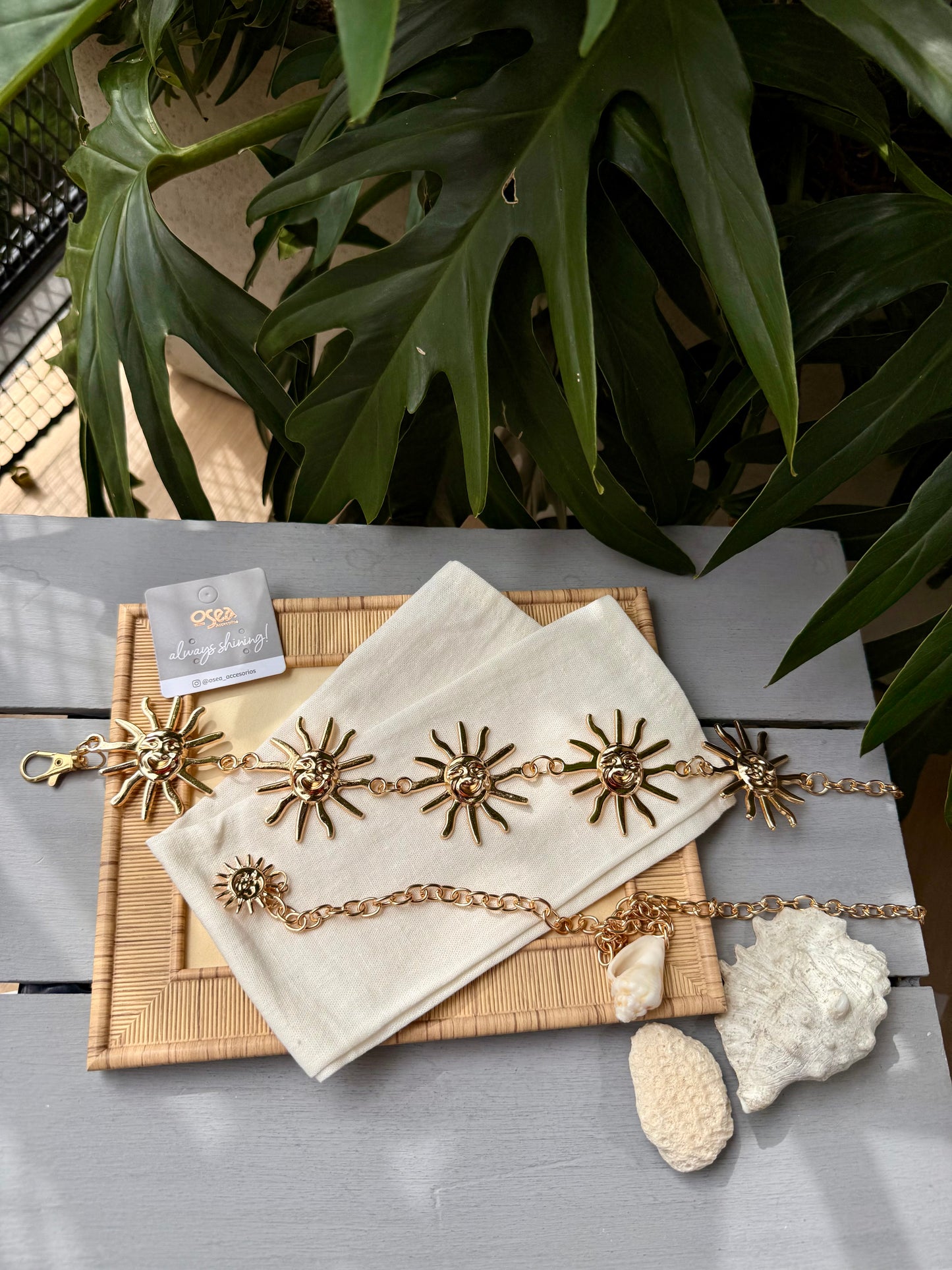 Correa metálica cadena